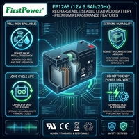 12V 6,5Ah Batterie für unterbrechungsfreie Stromversorgung, geeignet für Notbeleuchtung, elektronische Instrumente, Feuermelder.