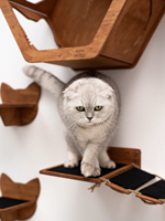 Étagère murale d'escalade pour chat, plateforme de saut, mobilier écologique pour animaux de compagnie, échelle murale d'escalade, étagère en bois pour chat