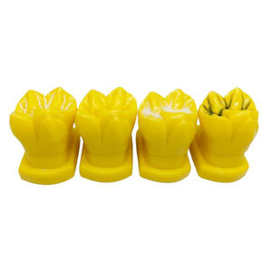 의사-환자 커뮤니케이션 및 병원 클리닉 교육을 위한 4 개의 구덩이 균열 폐쇄 프로세스 디스플레이 모델 세트 - Product Image 2