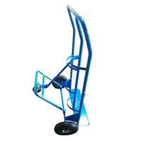 Chariot à plate-forme pliable transporteur d'oxygène personnalisable OEM
