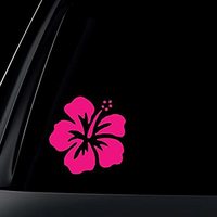 Pegatina Removible para Ventana de Coche, Vinilo Adhesivo Troquelado para Escaparates y Paredes, Pegatina de Vinilo para Vidrio con Colores CMYK Pantone, LOGO Personalizado