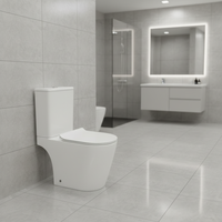 WC en céramique blanc à double chasse, à décharge directe, deux pièces, avec siphon en P, à poser au sol, pour usage hôtelier, prix de gros