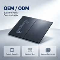 Batterie pour iPad Global 8827mAh Li-polymère, charge rapide, longue durée de vie, antichoc, fine, légère, puissante, en stock