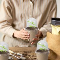 Biodégradable 3.1 \ "Pots De Pépinière De Plantes Humidité Dôme Pots De Tourbe Semis Jardin Légumes Fleur Germination