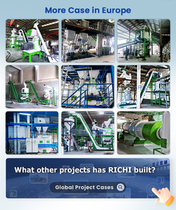 RICHI Nouvelle Conception Usine de Production de Granulés de <span class=keywords><strong>Bois</strong></span> Vente Chaude Autriche Ligne de Granulés de Biomasse Robuste 1-10T/H à Vendre - Product Image 3