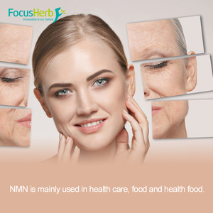 Focusherb - Suplementos de NMN en Polvo de Alta Calidad, 99% NMN Beta Nicotinamida Mononucleótido - Product Image 3