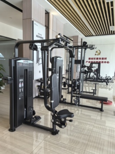 ANICZON F1002 Equipo de Gimnasio Comercial de Acero con Carga de Placas para Deltoides Posteriores/Pectorales, 80 kg, Carga Media para Hombros y Pecho - Product Image 4