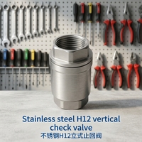 Vanne de contrôle verticale H12 en acier inoxydable, à ressort, filetée, OEM, manuelle, pour eau, huile, gaz, 1/2"-2" BSP NPT PN16