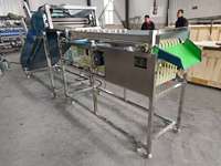 Machine multifonctionnelle SS304 pour le séchage des tomates Saladett Classificateur de pommes de terre Trieuse de fruits Machine de classement