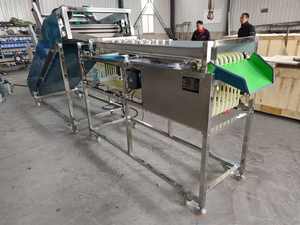 Pathway multifuncional SS304 <span class=keywords><strong>Tomate</strong></span> Saladett Clasificador de secado al aire Máquina clasificadora de frutas para dimensionar patatas Máquina clasificadora - Product Image 3