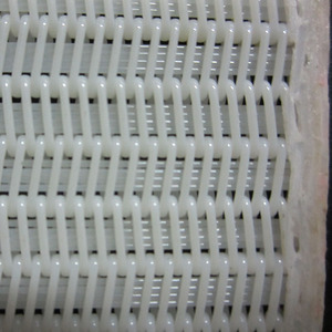 Sıcak satış 100% Polyester Spiral kurutucu presli filtre kumaş kemer atıksu arıtma - Product Image 1