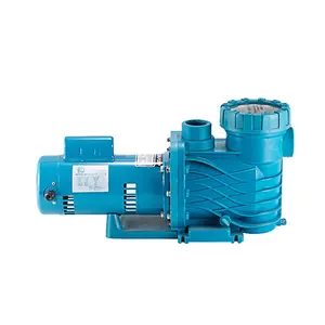 Kaikang Commerical Electric Variable Speed Swimming Pool Pump Motor