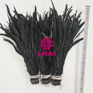 Plumes de queue de coq noires en gros, en vrac, pour costumes de carnaval Samba, fêtes <span class=keywords><strong>et</strong></span> décorations intérieures - Product Image 3