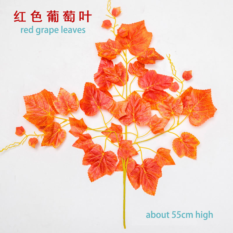 ใบองุ่นแดง