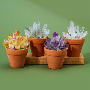 Planta en Maceta con Cristales Naturales al por Mayor, Decoración de Suculentas con Gemas de Amatista/Citrino/Cuarzo para el Hogar - Product Image 4