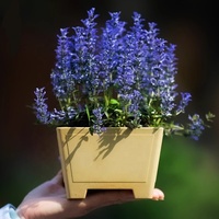 13.8cm 5.43 pouces Plastique Classique Carré Bonsaï Pots Succulent Planteur En Plastique Bonsaï Pot