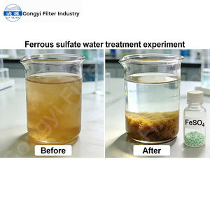 Ferrous Sulfate Heptahydrate CAS 7782-63-0 Fesofor Greenvitrol Haemofort Pasokan Pabrik Kemurnian 98% - Product Image 5