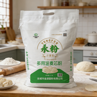 Sacs d'emballage en non-tissé PP Spunbond 80 g/m² pour 5 kg et 10 kg de poudre alimentaire et de céréales avec fourniture d'usine OEM