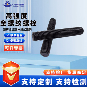 Vis à tête ronde Wan Chen Chi Gu à filetage complet M16 M30 M36, grade 10.9, pour l'industrie chimique, OEM personnalisé - Product Image 4
