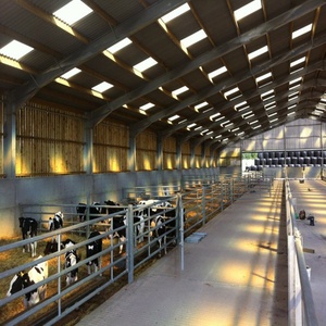 Diseño de estructura de acero prefabricada Almacén Pequeña granja Taller Cobertizo para vacas - Product Image 6