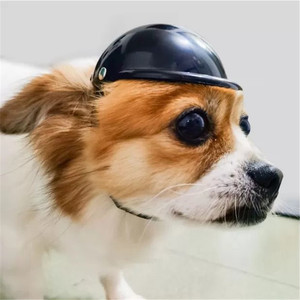 Casco de Plástico Sólido Negro <span class=keywords><strong>para</strong></span> <span class=keywords><strong>Perros</strong></span>, <span class=keywords><strong>para</strong></span> la Seguridad de las Mascotas al Montar en Bicicleta o Motocicleta, <span class=keywords><strong>para</strong></span> Todas las Estaciones - Product Image 1