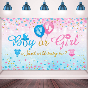 Sfondo per Festa di Rivelazione del Sesso del Bambino, Motivo Piedini, in Vinile Rosa e Blu con Stelline, per Baby Shower e Foto - Product Image 2