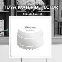 Nouveau détecteur de fuite d'eau WiFi Tuya intelligent à montage au sol en ABS 2025 PST-SQ400B – Appareil domotique très demandé