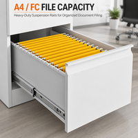 Armoire de classement en acier à 2 tiroirs pour dossiers A4 et FC, design moderne, mobilier de rangement métallique à 2 tiroirs pour bureau, école, hôpital
