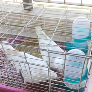 Accesorios para jaulas <span class=keywords><strong>de</strong></span> pájaros YYC, dispensador <span class=keywords><strong>de</strong></span> comida para <span class=keywords><strong>periquitos</strong></span> colgante, alimentador y <span class=keywords><strong>bebedero</strong></span> automático para palomas - Product Image 6