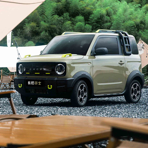 Geely Panda 2024, Auto Elettrica a Quattro Ruote e Quattro Posti, Veicolo a Nuova Energia per Adulti, Mini Auto Elettrica Geely Panda 2025 in Offerta - Product Image 2