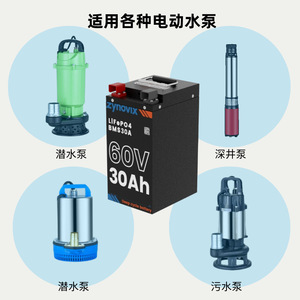 Zynovix LiFePO4 <b>Battery</b> 60V 30Ah Deep Cycle Solar Water <b>Pump</b> - Product Image 2