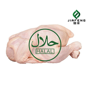 Fournisseur mondial de poulet entier <span class=keywords><strong>halal</strong></span> |   Exportation en gros de volaille congelée - Product Image 5