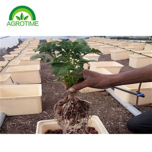 Seau hollandais Serre Culture Plantation Seau Étanche Famille <span class=keywords><strong>Balcon</strong></span> Légumes <span class=keywords><strong>Fraise</strong></span> Fruits Plantation - Product Image 2