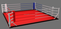 Anneau de boxe en toile, vente en gros, boxe thaïlandaise, avec Logo des clients