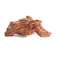 Petit bois flotté naturel Mopani, enracinement possible, pour aquascaping, aquarium planté, cachette pour reptiles, décoration de micro-paysage