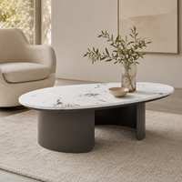Table basse pour usage domestique, style italien moderne minimaliste, plateau en marbre Pandora, forme ovale, structure en métal, durable et facile à nettoyer