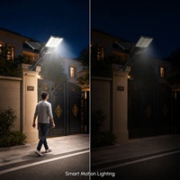 Lampadaire solaire double panneau LED pliable pour extérieur, conception personnalisée marque privée, modèle exclusif, lancement de nouveau produit, qualité supérieure