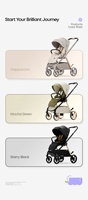 Weilebao Chine Usine Vente en Gros Poussette Bébé Pliable en Alliage d'Aluminium Système de Voyage Landau de Luxe 3 en 1 Portable 0-3 ans