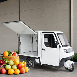 Tricycle de collation de cargaison de corps fermé pour adultes de tricycle de livraison électrique de haute qualité 3.0kw avec moteur 60v certifié EEC - Product Image 2