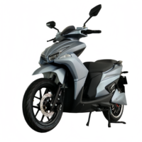 Motor Listrik Off-Road Roda Besar Kecepatan Tinggi Lithium Terlaris 72V 3000W 115km/jam Skuter Listrik Dewasa