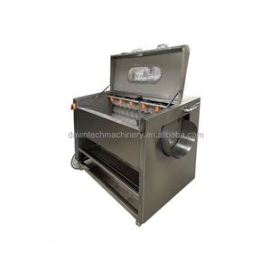 Machine automatique de nettoyage, épluchage et lavage en acier inoxydable pour gingembre, carotte, fruits, légumes, patate douce, taro et betterave - Product Image 5