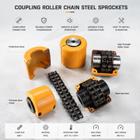 Accouplement de chaîne à rouleaux en acier flexible de haute qualité pour machines industrielles OEM ODM