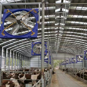 Ventilador de 25000cfm y 72 Pulgadas (183 cm) para Establos, Ventilación para Establos de Vacas Lecheras - Product Image 6