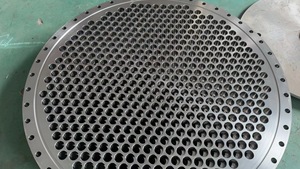 Evaporatore a Film Cadente MVR Personalizzato per <span class=keywords><strong>Bioetanolo</strong></span> e Prodotti Chimici Fini |   Design ad Alta Efficienza Energetica |   Costruzione in Acciaio Inox 316L e Titanio - Product Image 6