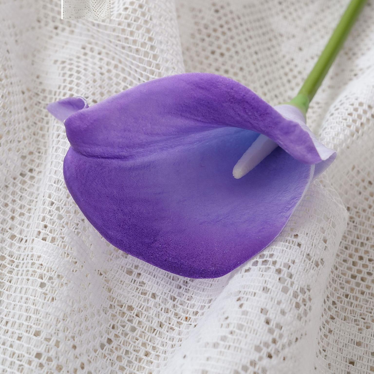 Roland violet