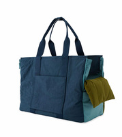 Sac de transport portable en nylon pour animaux de compagnie avec coussin amovible et clip de sécurité, côtés extensibles pour chats et petits chiens, idéal pour les voyages de week-end
