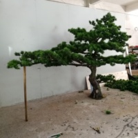 Arbre Bonsaï Artificiel de Haute Qualité en Pin, 2m de Hauteur, Écologique, Taille Personnalisable, Style Moderne, Décoration Intérieure