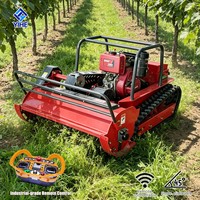 Tondeuse à chenilles diesel efficace et durable, adaptée aux plantations de caoutchouc, de palmiers à huile et aux champs agricoles