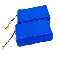 Li-ion Battery 18650 2p6s 5000mAh 22.2V Battery Pack for Consumer Electronics & Power Tools