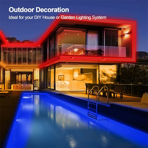 Produttore all'ingrosso impermeabile Rgbic Neon <span class=keywords><strong>Led</strong></span> luci flessibile striscia morbida per camera da letto - Product Image 5